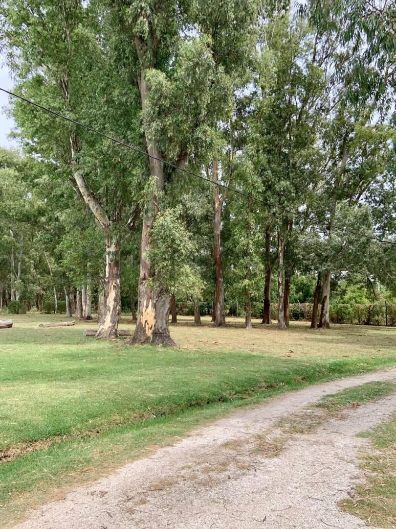 Foto de Lotes en Venta. Villa Garibaldi. Calle 641 entre 1 y 115., imagen 1
