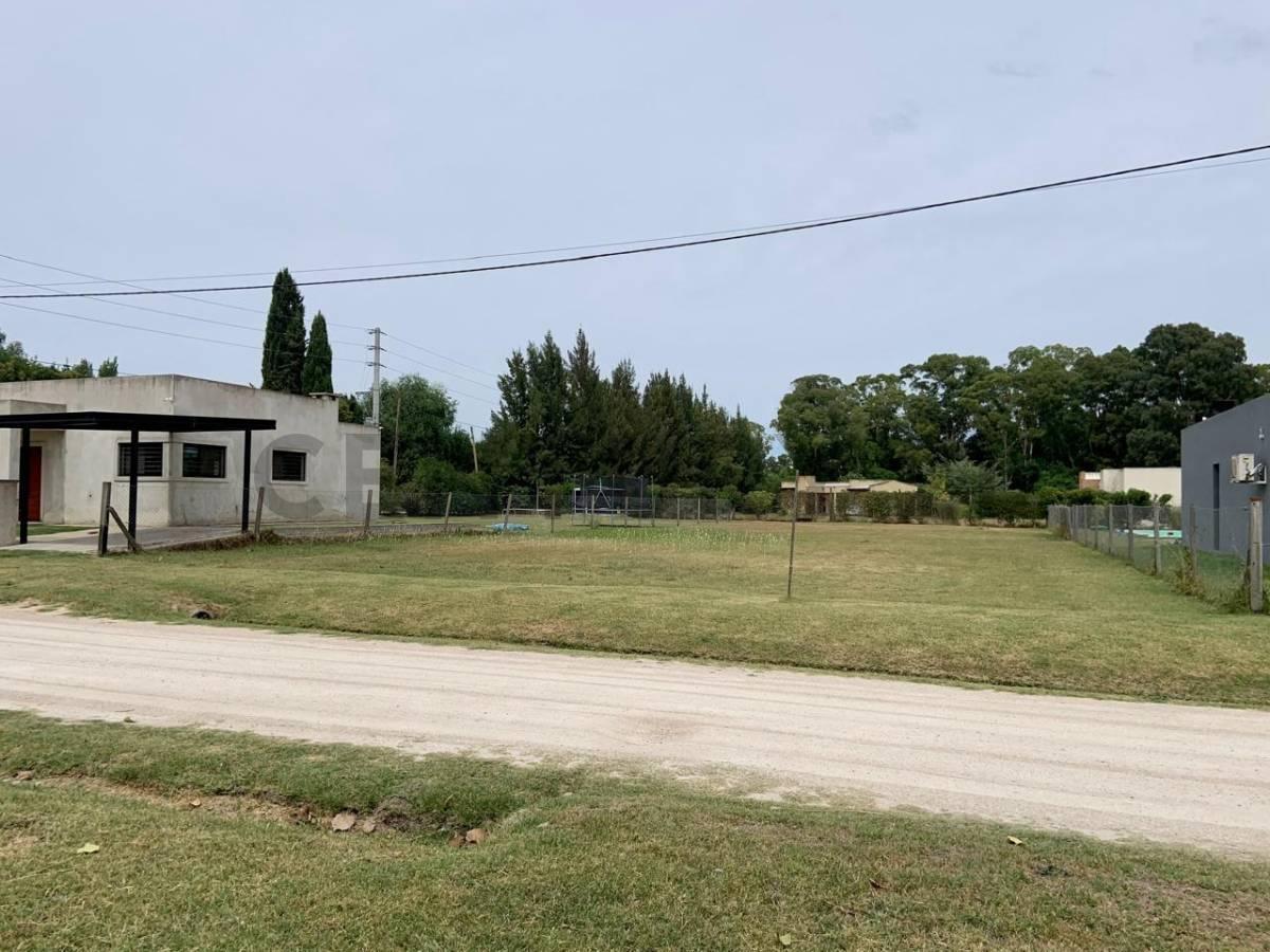 Foto de Lotes en Venta. Villa Garibaldi. Calle 641 entre 1 y 115., imagen 2