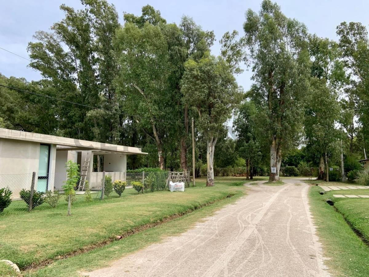 Foto de Lotes en Venta. Villa Garibaldi. Calle 641 entre 1 y 115., imagen 3