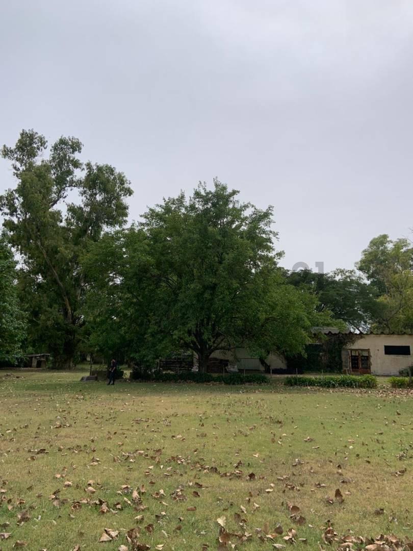 Foto de Lotes en Venta. Villa Garibaldi. Calle 641 entre 1 y 115., imagen 4
