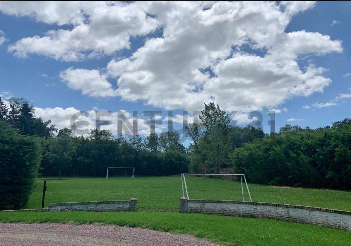 Foto de LOTE VENTA VILLA ELISA "LAS MUÑECAS", imagen 2