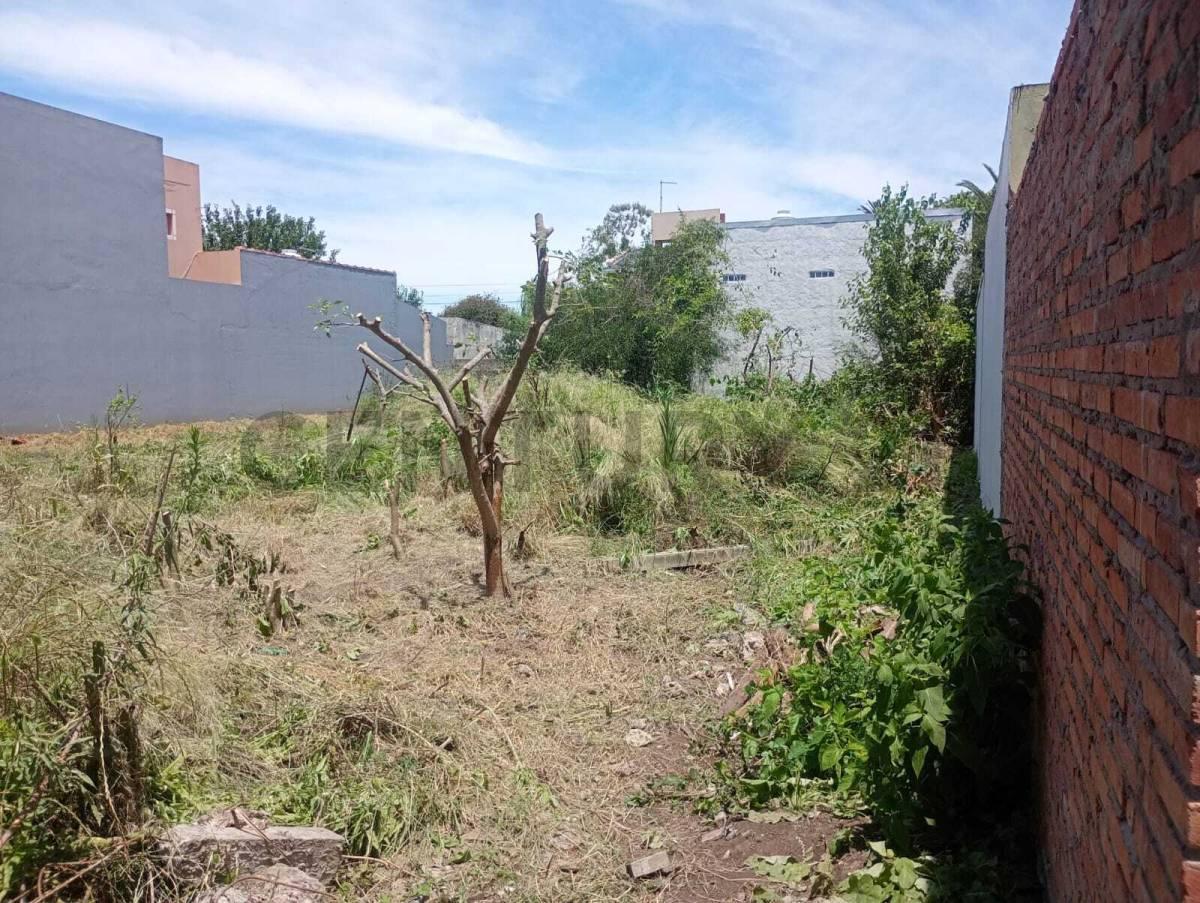 Foto de Lote en venta. Calle 213 entre 43 y 44., imagen 2