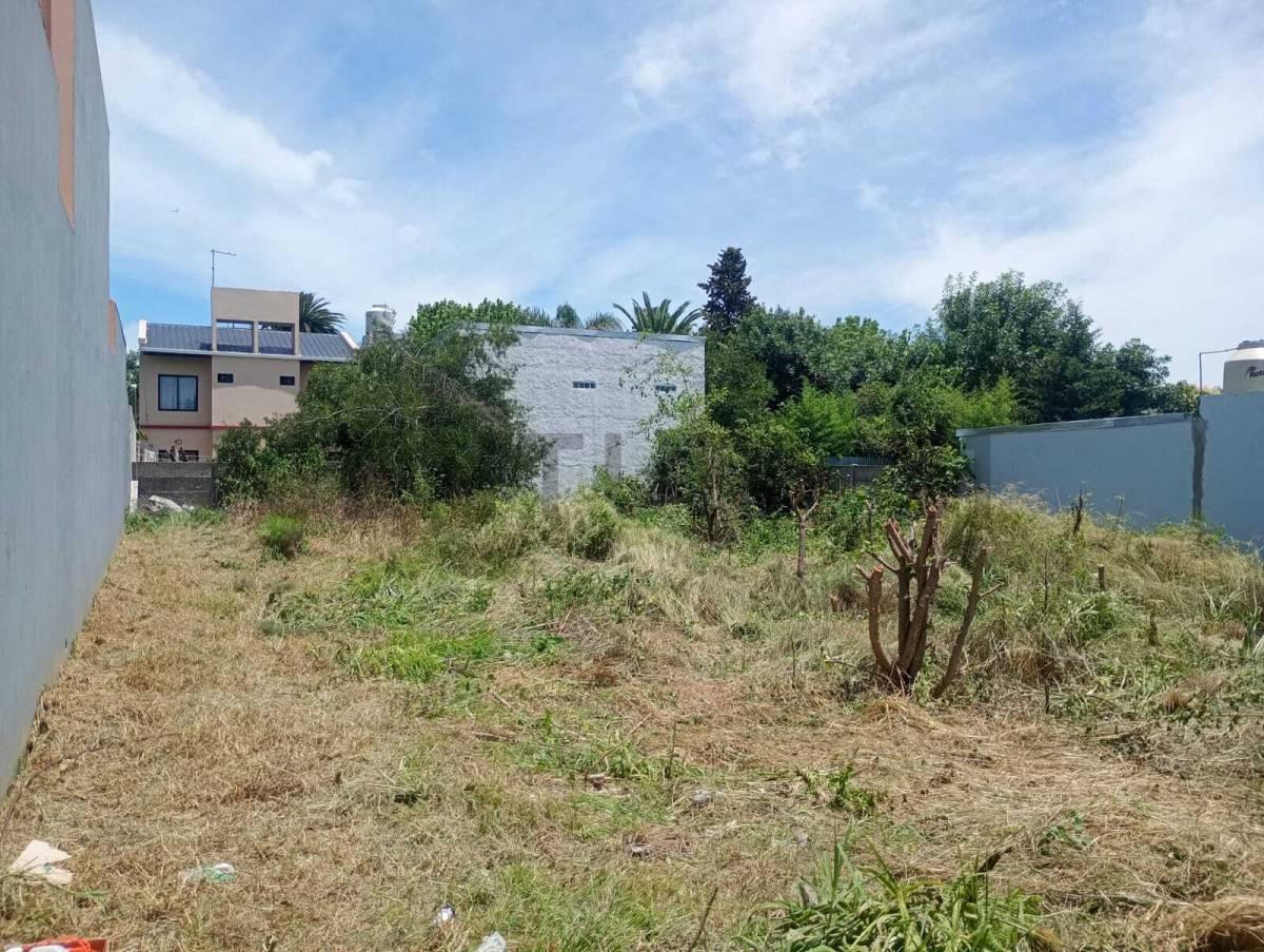 Foto de Lote en venta. Calle 213 entre 43 y 44., imagen 1