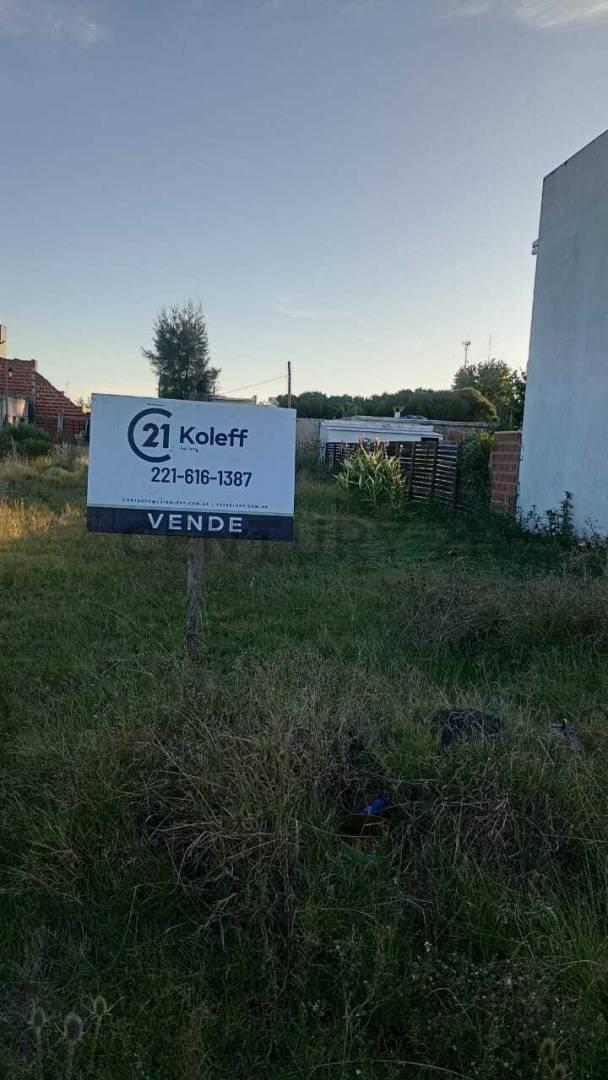 Foto de Venta Lote. Calle 247 entre 51 y 52., imagen 4