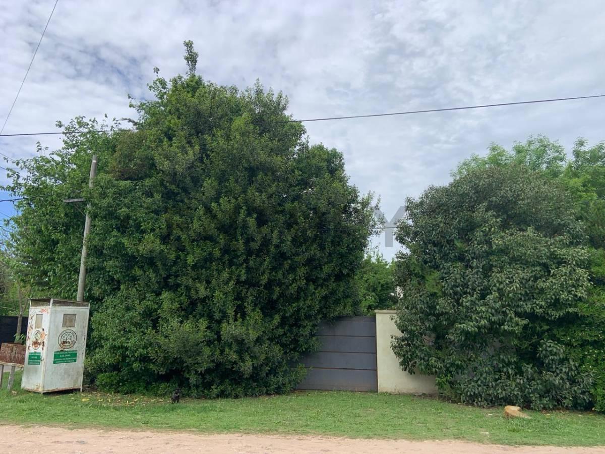 Foto de Lote en VENTA con piscina y 2 módulos habitacionales (contenedores) a, imagen 5