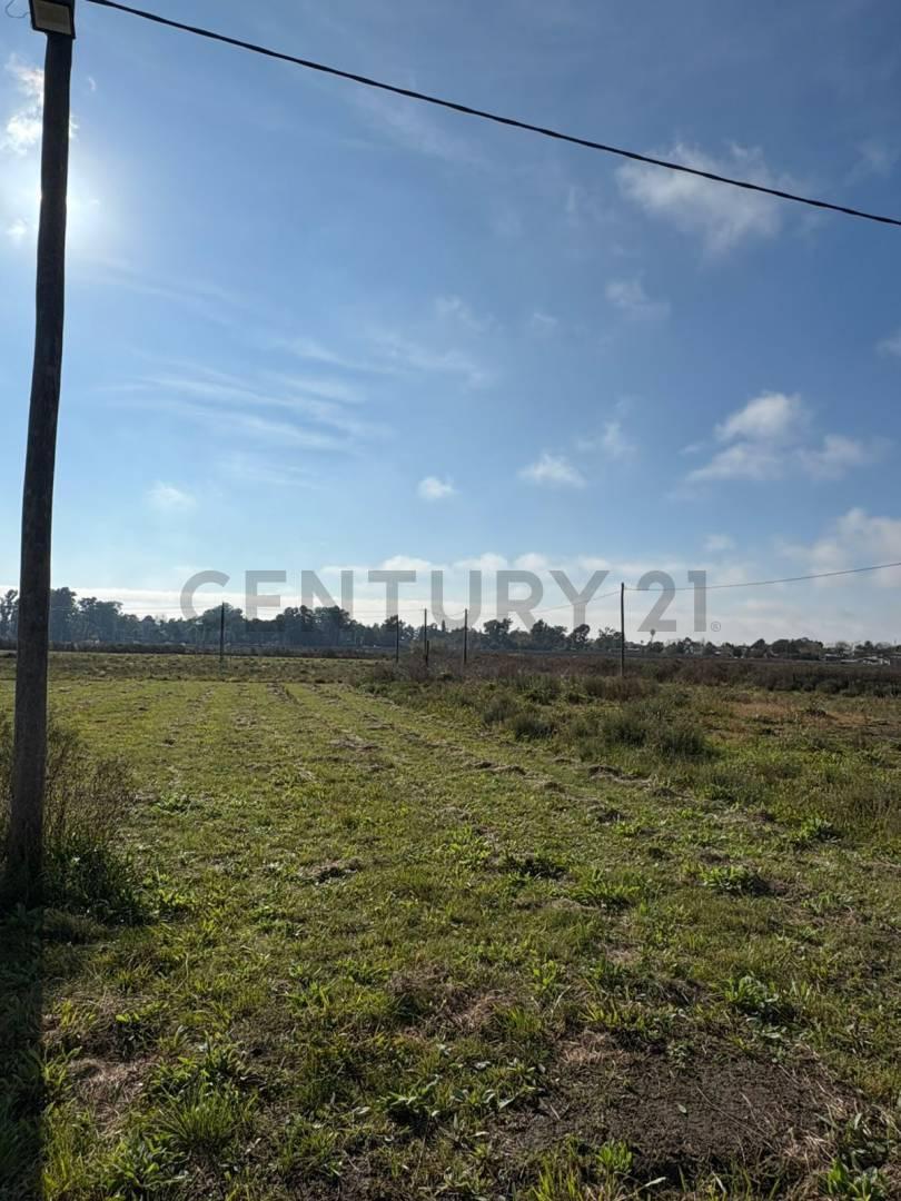 Foto de 17 y 602 Lote en venta - Altos del Plata, imagen 3