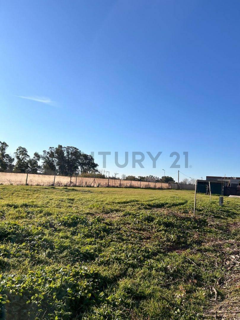 Foto de 133 entre 505 y 506. Lote en Venta, PUEBLO I, imagen 1