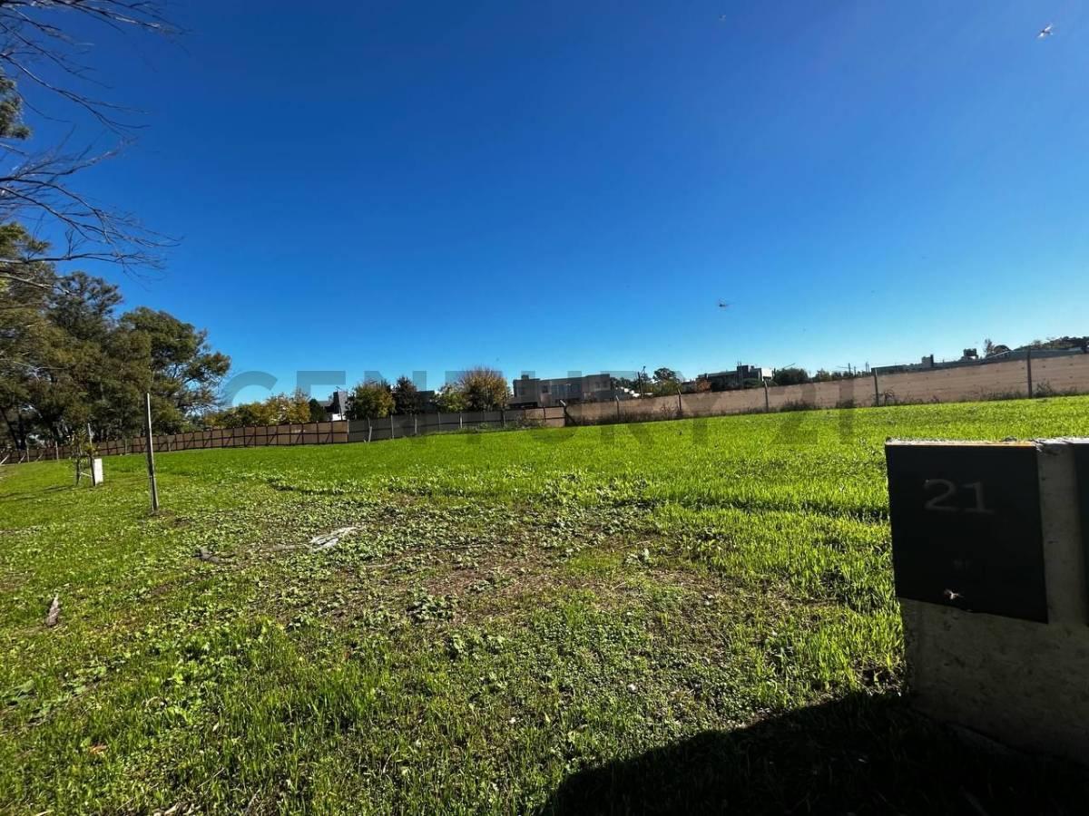 Foto de 133 entre 505 y 506. Lote en Venta, PUEBLO I, imagen 5
