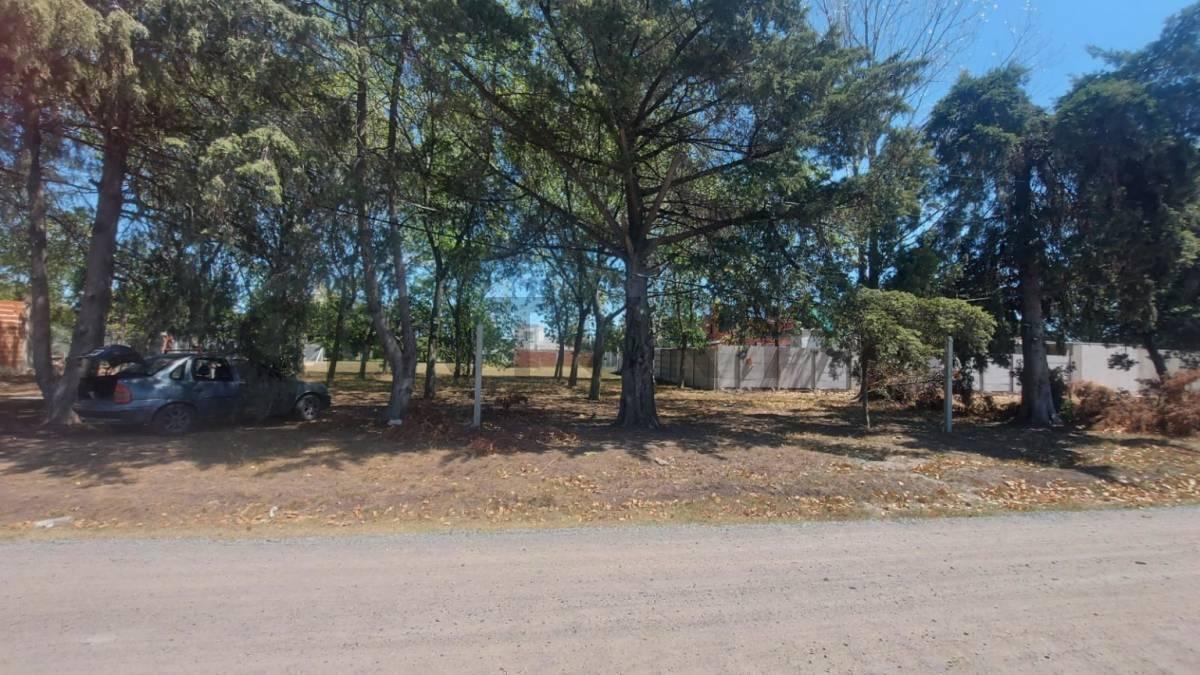 Foto de 490 entre 137 y 138, Terreno en Venta, Joaquin Gorina.-, imagen 1
