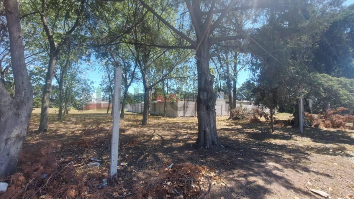 Foto de 490 entre 137 y 138, Terreno en Venta, Joaquin Gorina.-, imagen 4