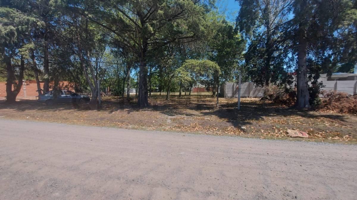 Foto de 490 entre 137 y 138, Terreno en Venta, Joaquin Gorina.-, imagen 3