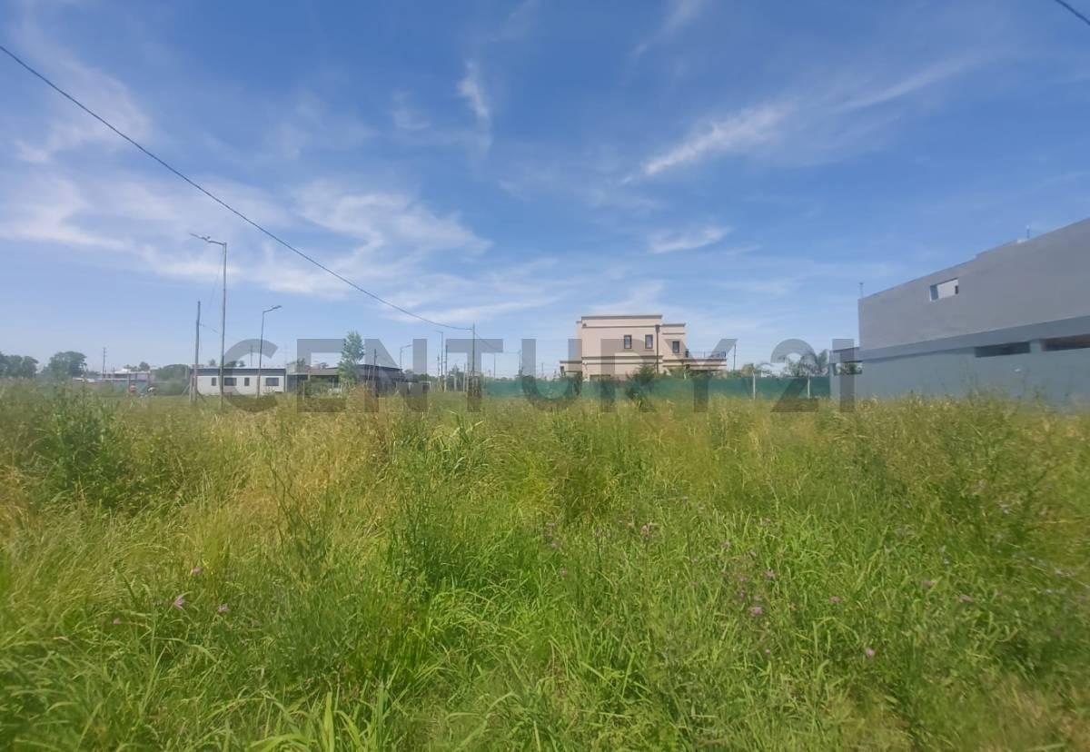 Foto de 138 esquina 509. Lote en Venta José Hernandez, La Plata, imagen 1