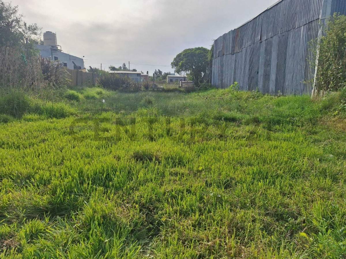 Foto de 476 entre 5 y 6, City Bell. Lote en venta, imagen 2