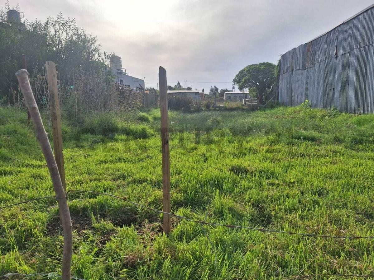 Foto de 476 entre 5 y 6, City Bell. Lote en venta, imagen 3