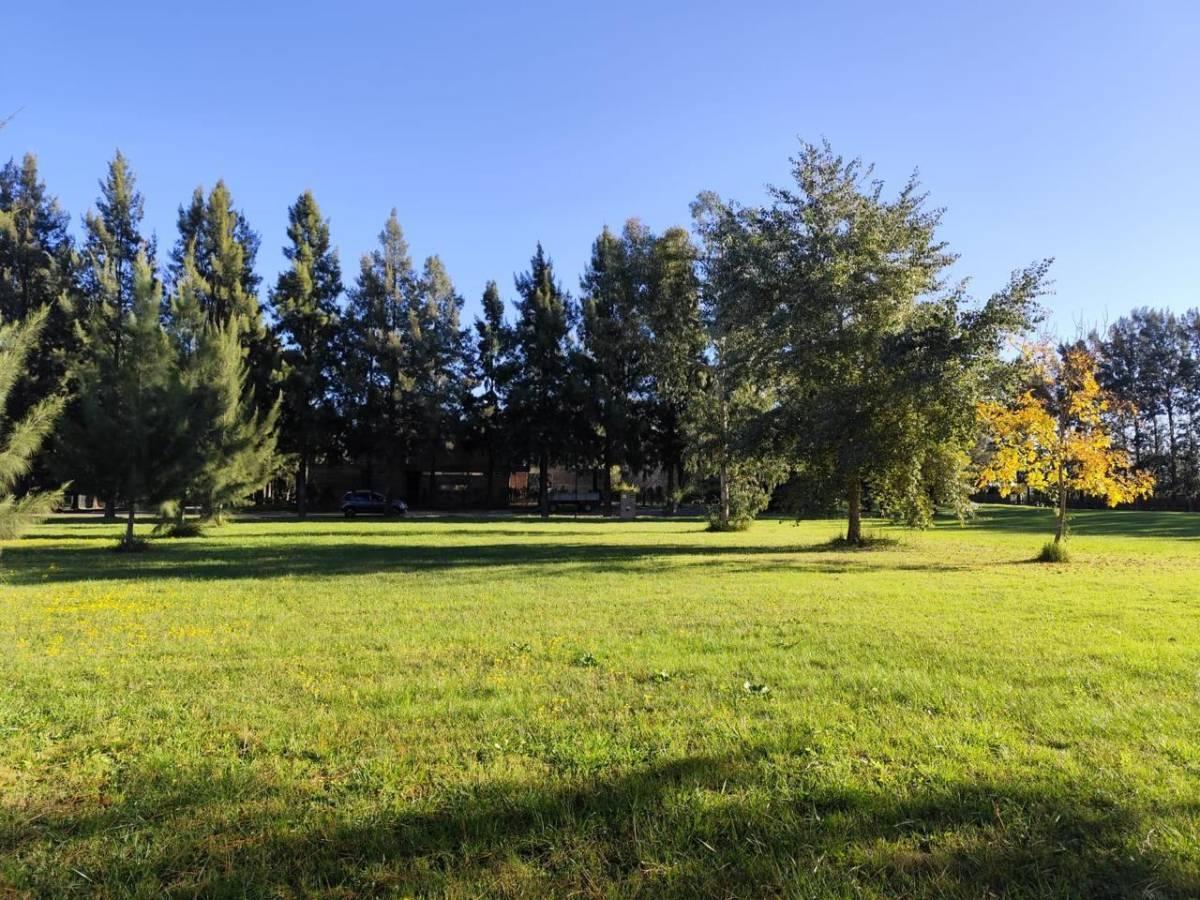 Foto de Ruta 2 Km 65, Club de Campo y Spa Miralagos II. Lote en venta, imagen 4