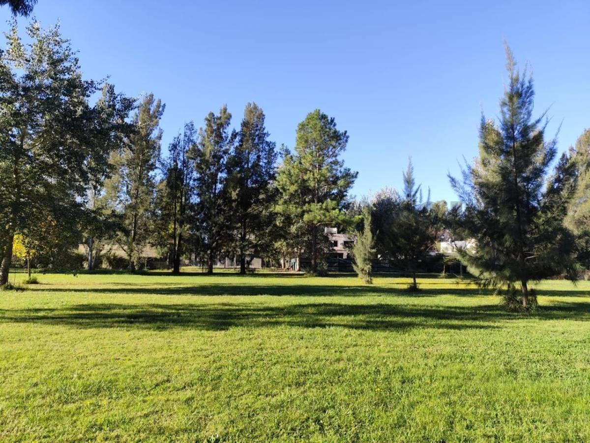 Foto de Ruta 2 Km 65, Club de Campo y Spa Miralagos II. Lote en venta, imagen 3