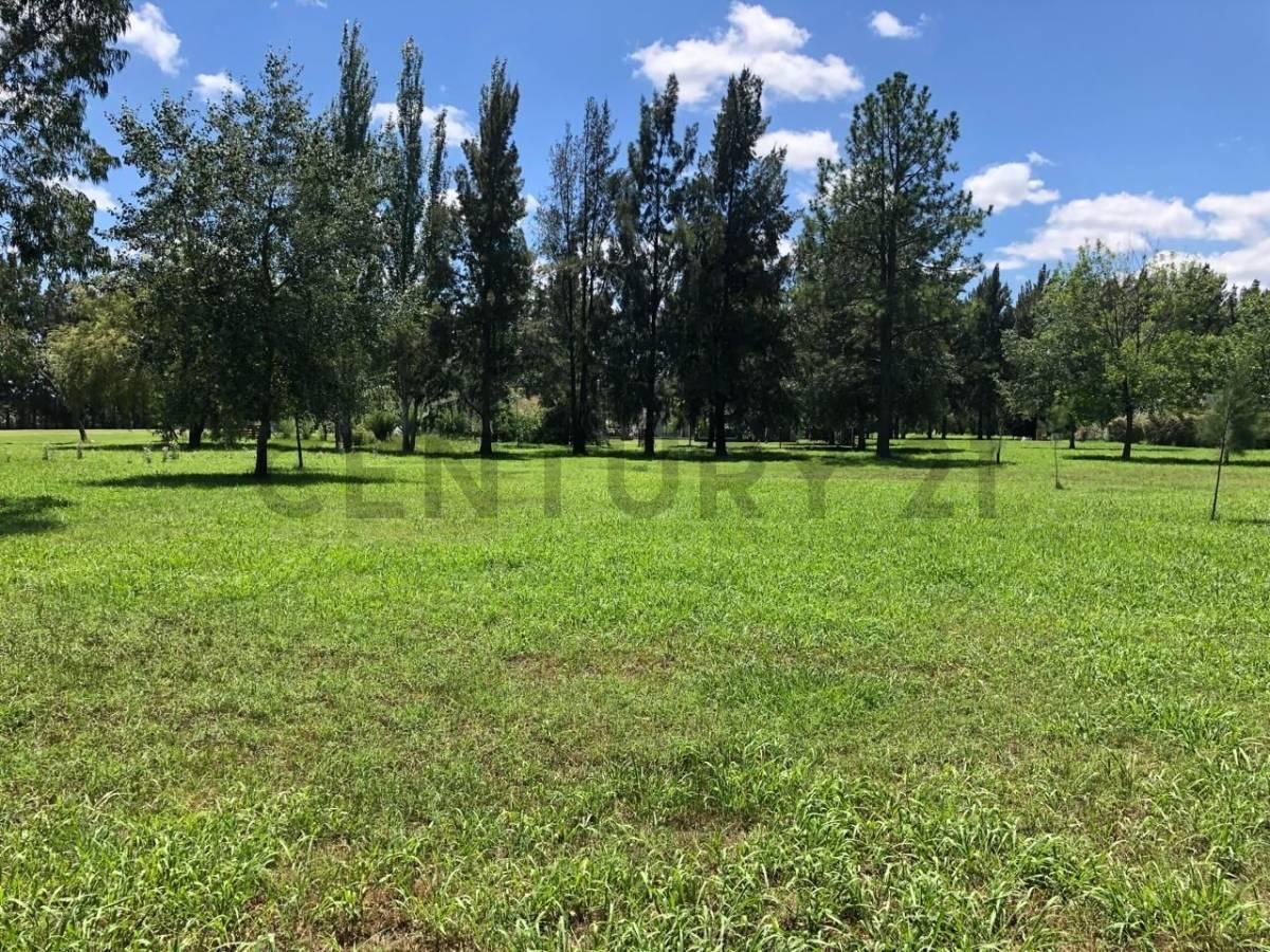 Foto de Ruta 2 Km 65, Club de Campo y Spa Miralagos II. Lote en venta, imagen 5