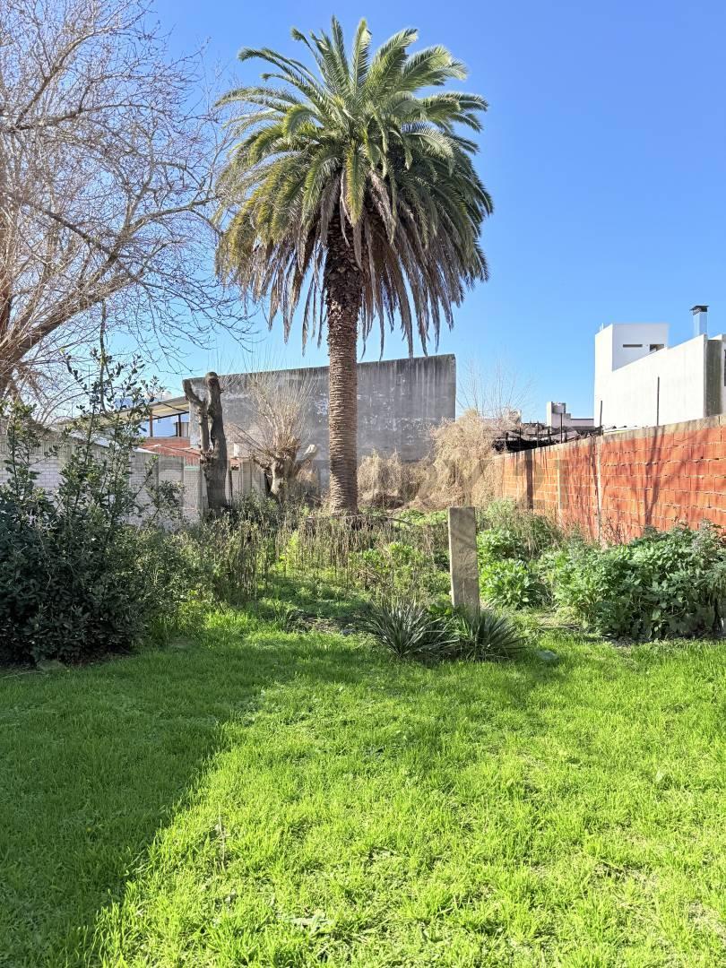 Foto de 132 entre 37 y 38. Venta de Terreno en La Plata., imagen 5