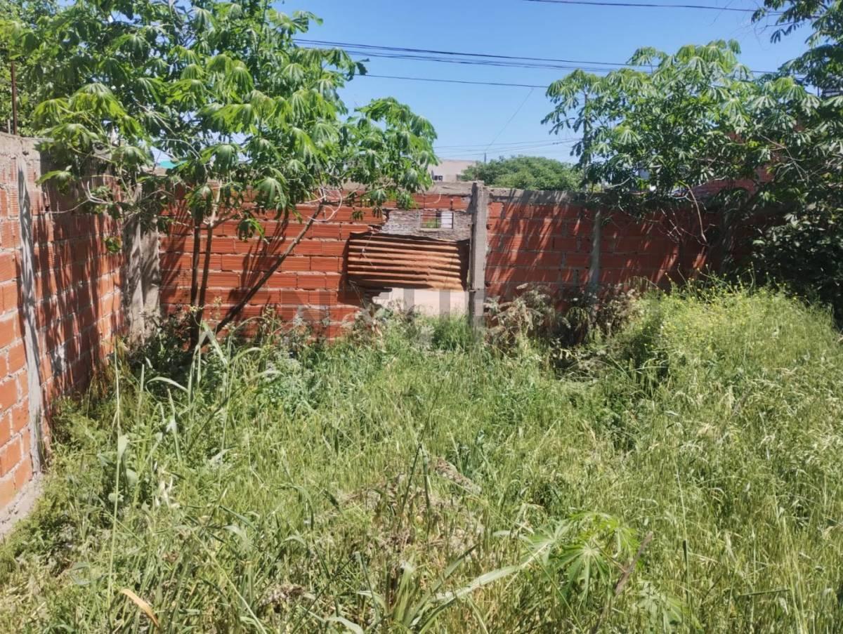 Foto de 135 entre 36 y 37. Lote en Venta. San Carlos, La Plata.-, imagen 5