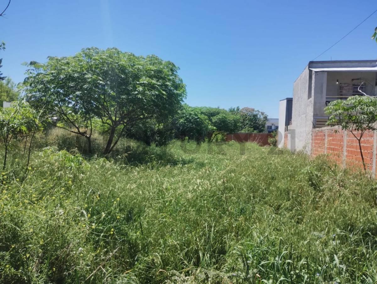 Foto de 135 entre 36 y 37. Lote en Venta. San Carlos, La Plata.-, imagen 4