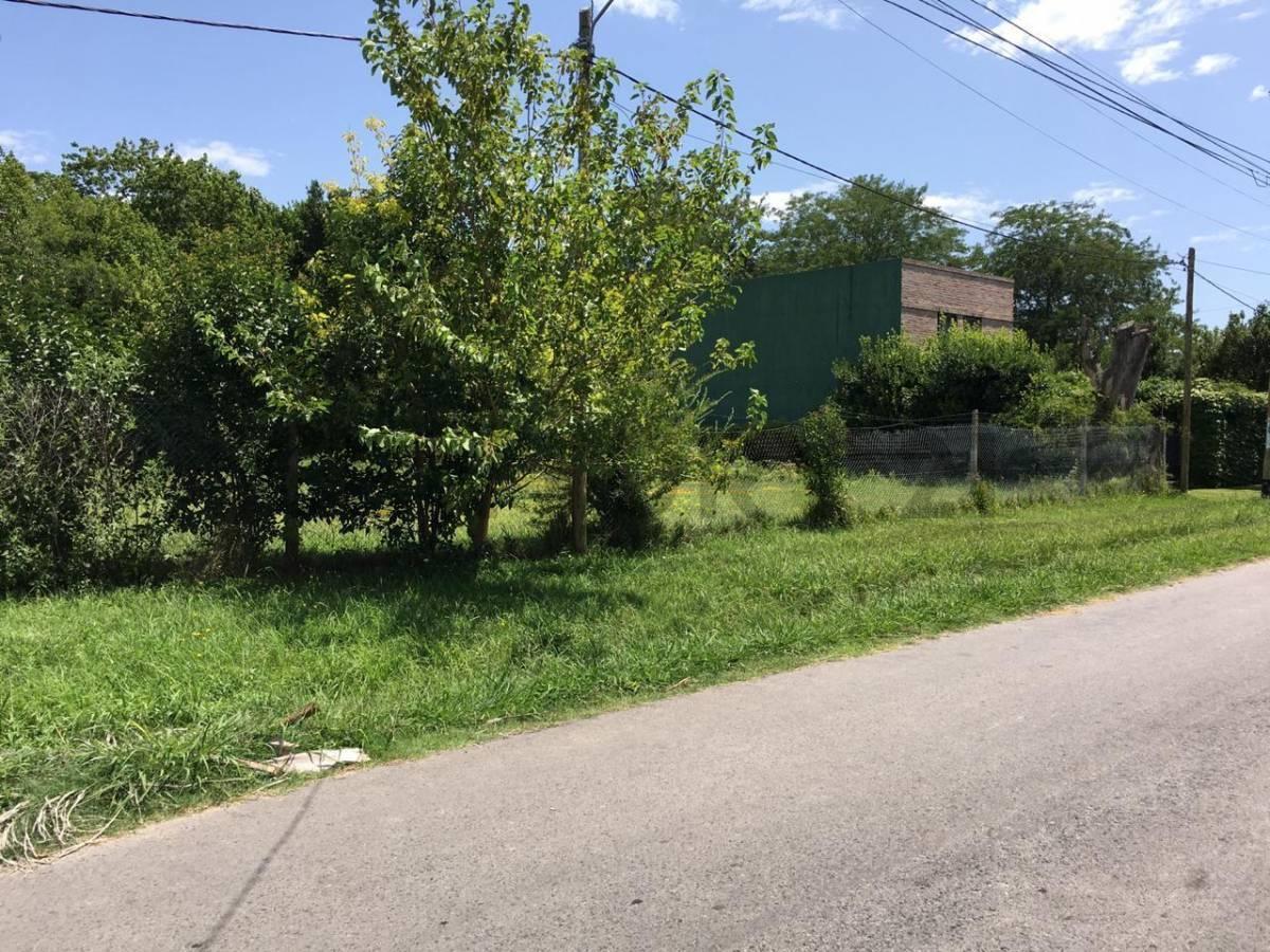 Foto de 8 entre 472 y 474. Lote de 1154m2. Venta, City Bell., imagen 1