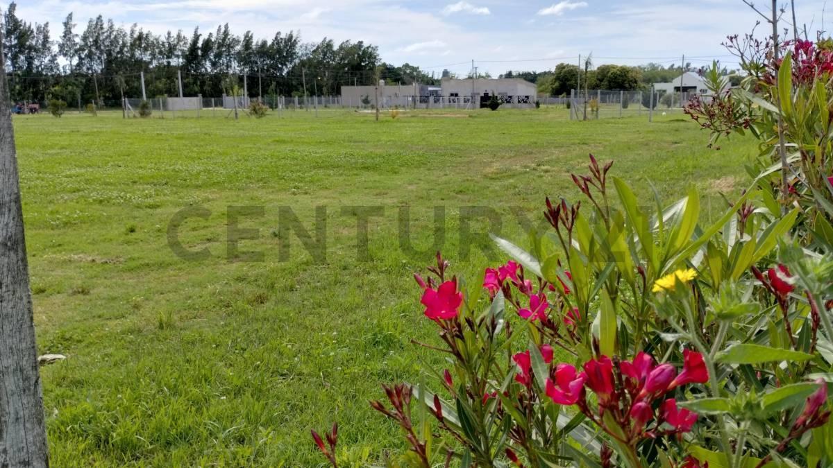 Foto de 143 y 620 Lotes en venta Arana, imagen 1