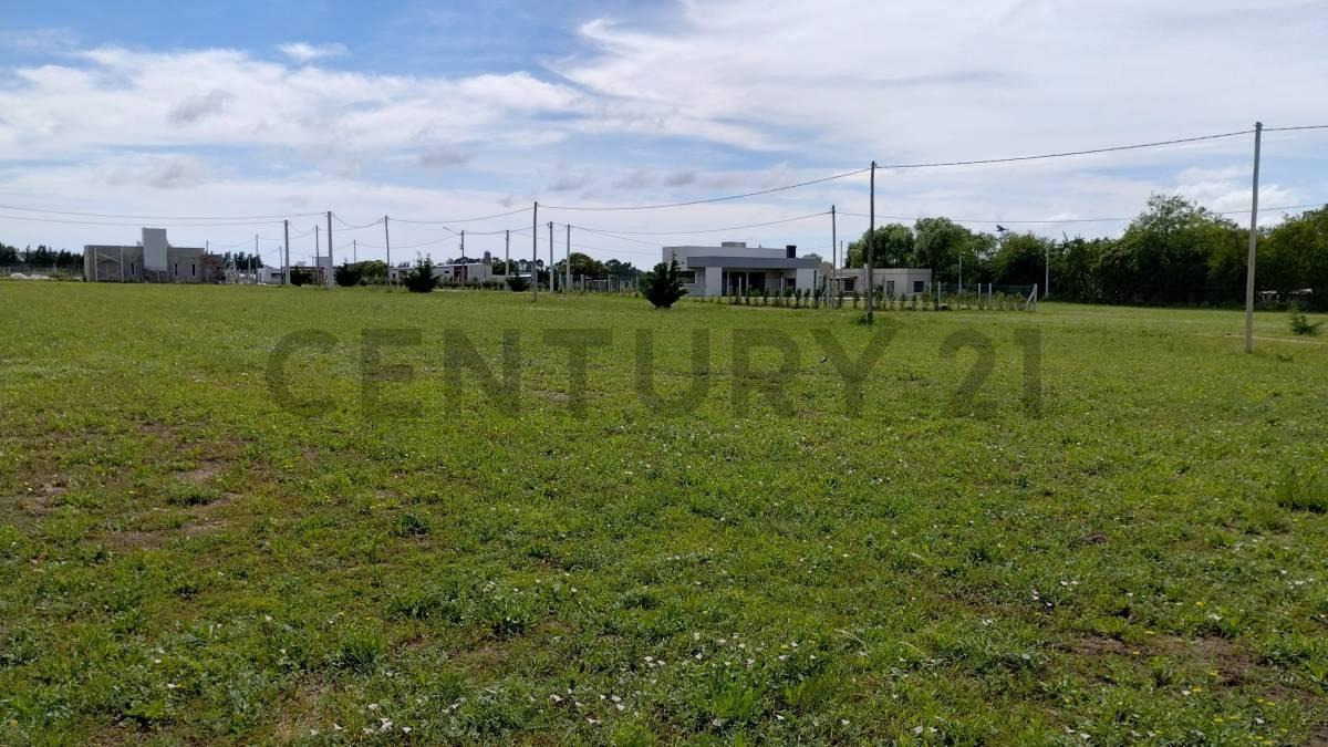 Foto de 143 y 620 Lotes en venta Arana, imagen 3