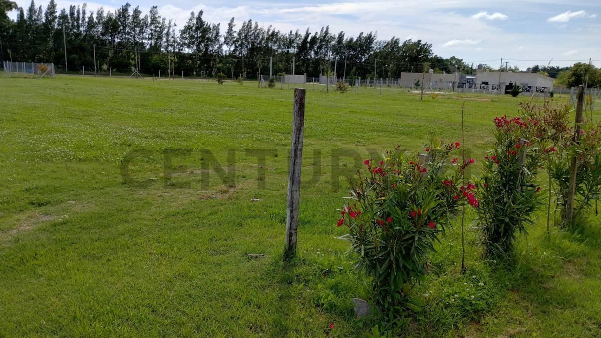 Foto de 143 y 620 Lotes en venta Arana, imagen 4