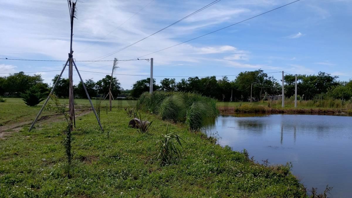 Foto de 143 y 620 Lotes en venta Arana, imagen 3