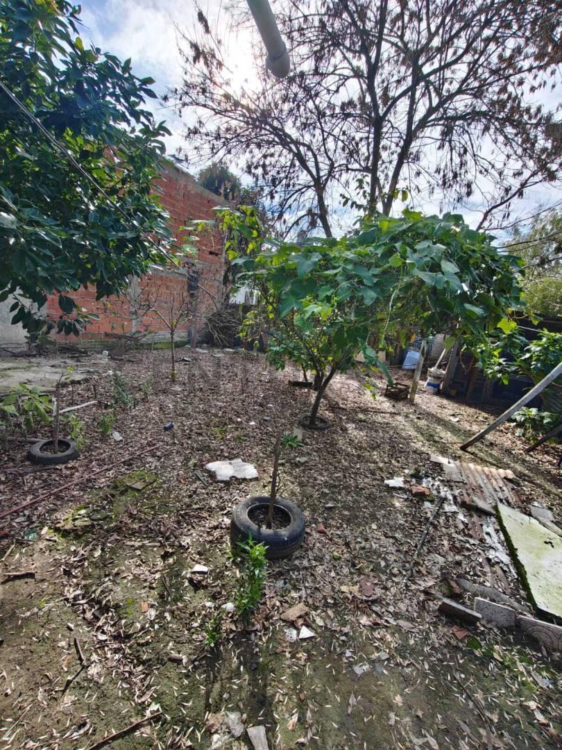 Foto de Terreno con Casa a reciclar, imagen 5