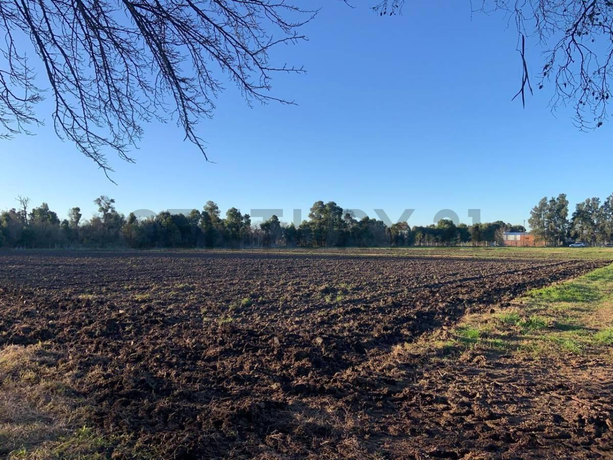 Foto de 198 entre 498 y 502 . Venta Fracción en Abasto. Apto desarrollo. 18.000, imagen 4