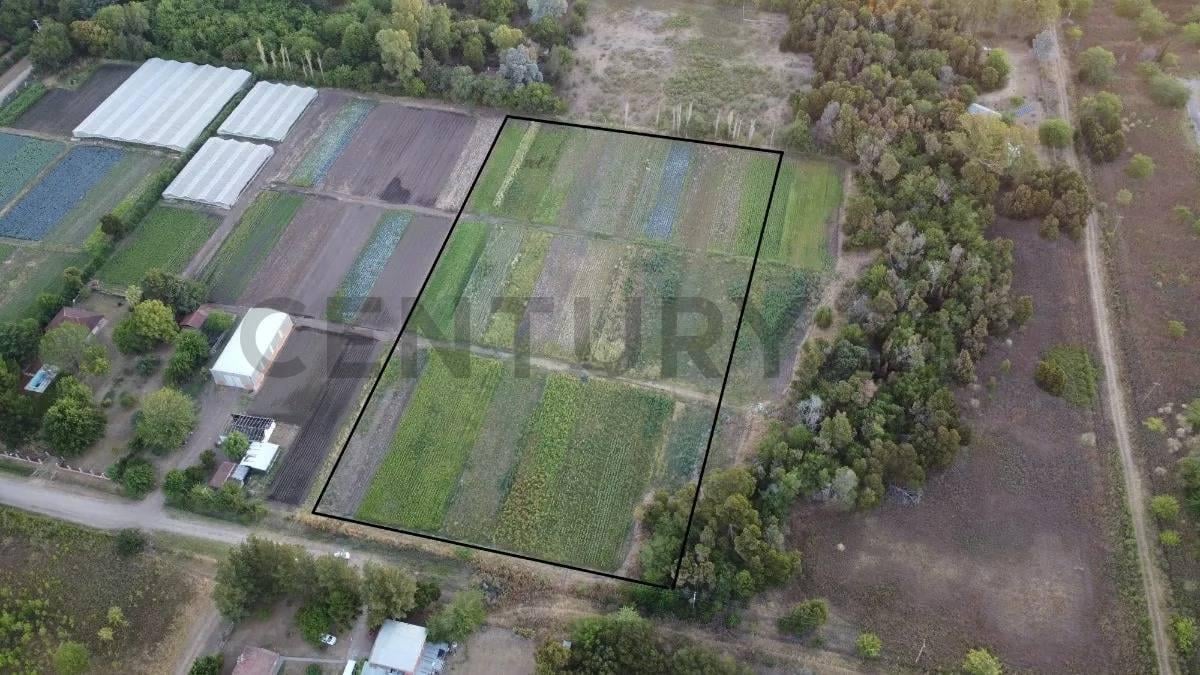 Foto de 198 entre 498 y 502 . Venta Fracción en Abasto. Apto desarrollo. 18.000, imagen 3