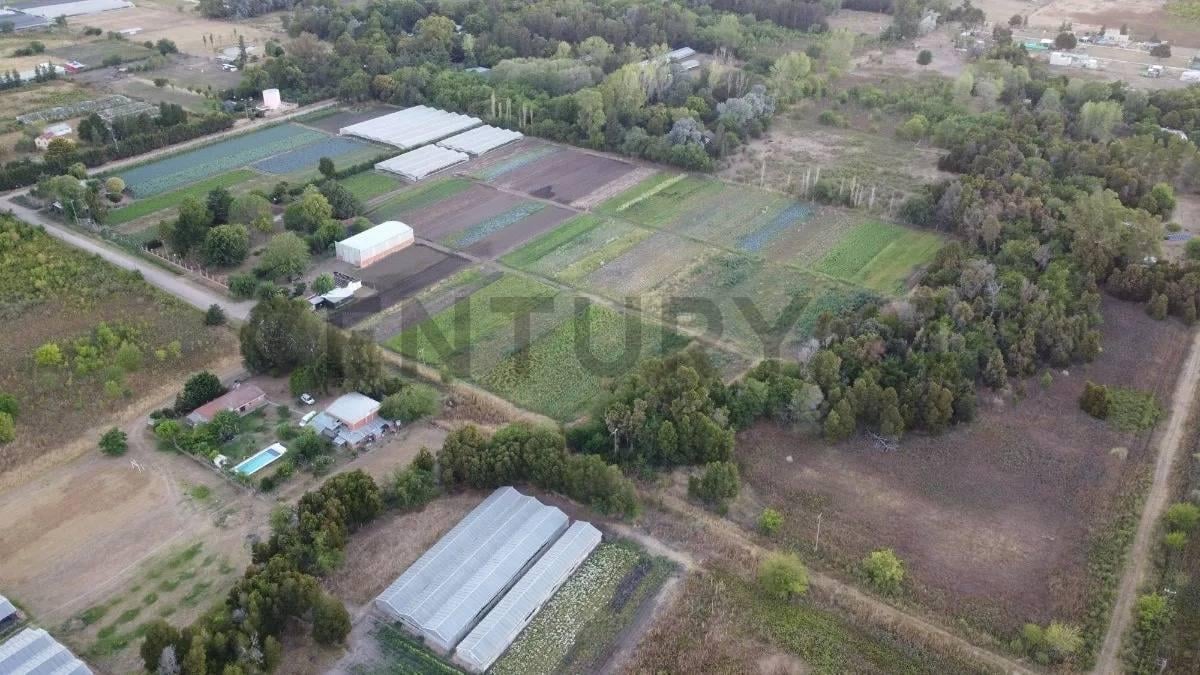 Foto de 198 entre 498 y 502 . Venta Fracción en Abasto. Apto desarrollo. 18.000, imagen 1