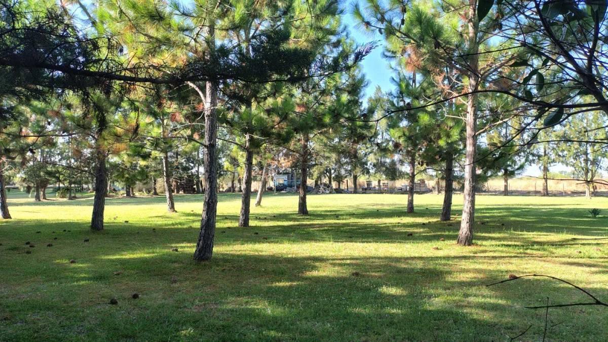 Foto de Camino Real y Montevideo. LOTE EN VENTA- LA BALANDRA, imagen 3