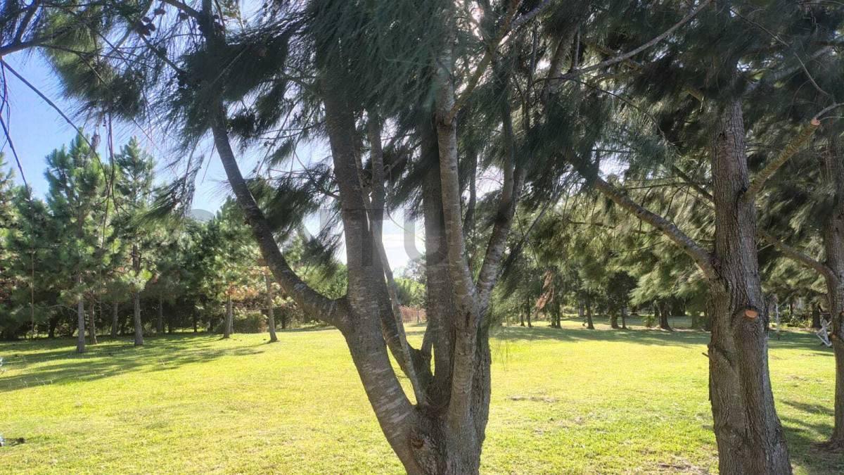 Foto de Camino Real y Montevideo. LOTE EN VENTA- LA BALANDRA, imagen 1