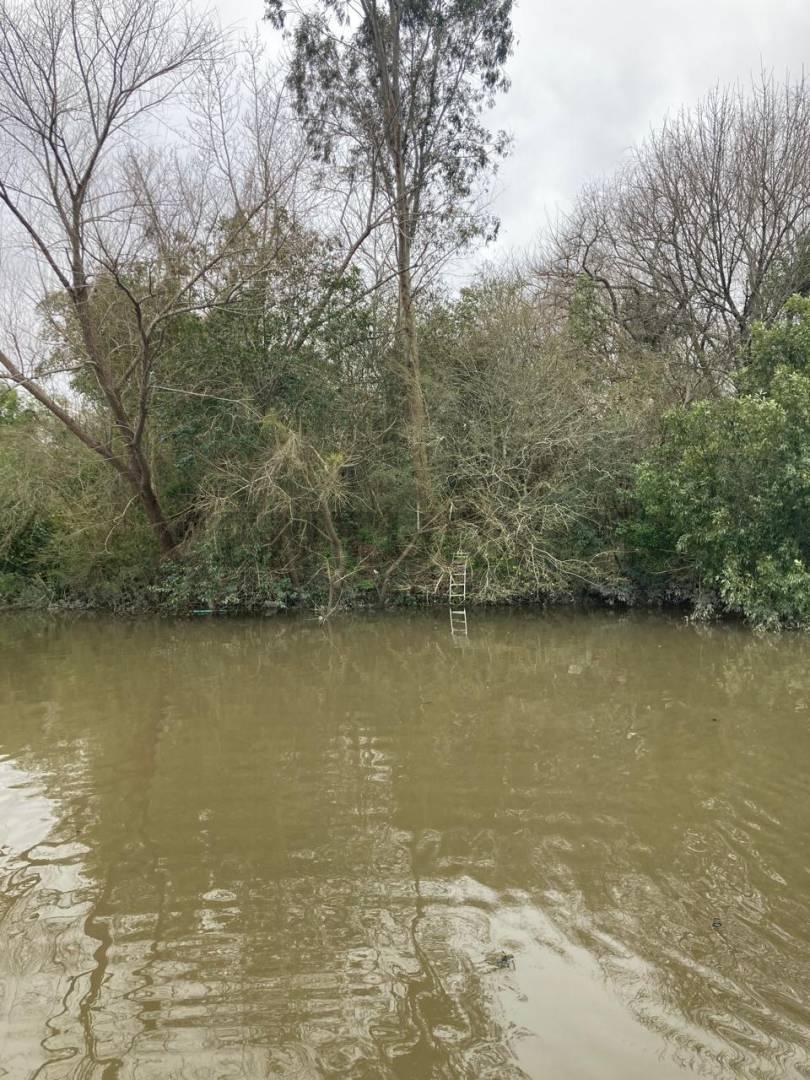 Foto de Fracción de 2,06 hectáreas sobre Arroyo Saladero – Berisso, imagen 2