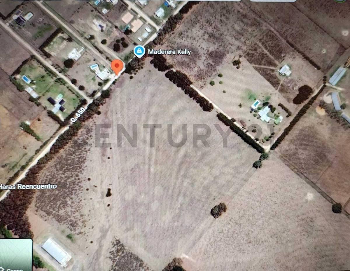 Foto de 650 y 25. HECTAREAS EN VENTA PARQUE SICARDI, imagen 1
