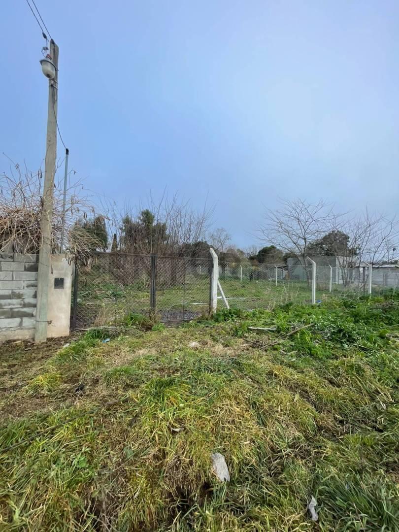 Foto de Jose Castillo al 800. Lote en Venta en Chascomús, imagen 4