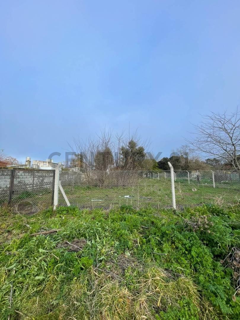 Foto de Jose Castillo al 800. Lote en Venta en Chascomús, imagen 3