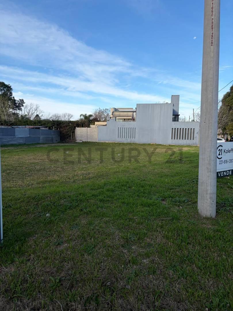 Foto de Lote en venta en Gorina, imagen 5