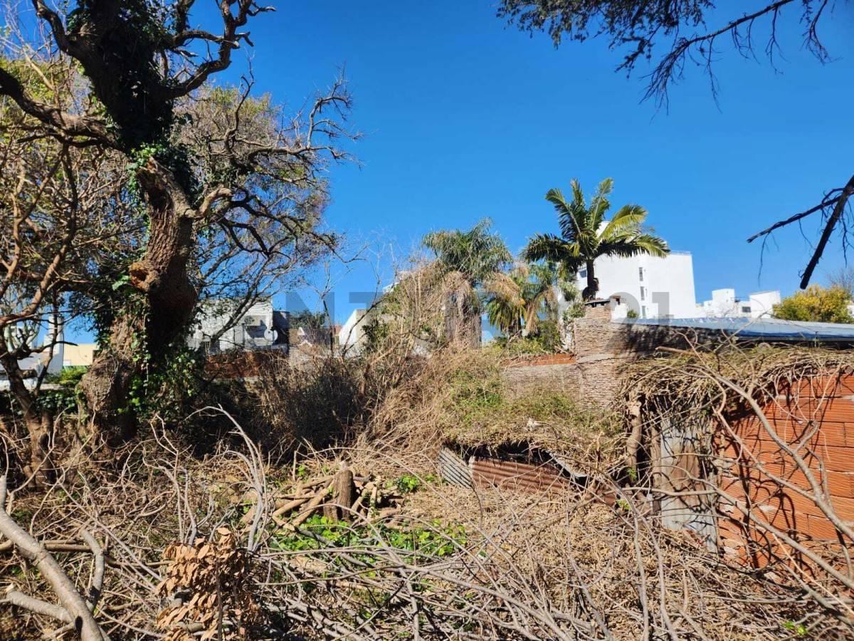 Foto de 42 entre 24 y 25. Lote en Venta, La Plata, imagen 5