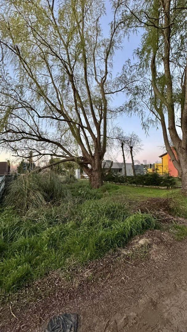 Foto de Las Margaritas entre Los Malvones y Las Madreselvas, Terreno en Venta, imagen 4
