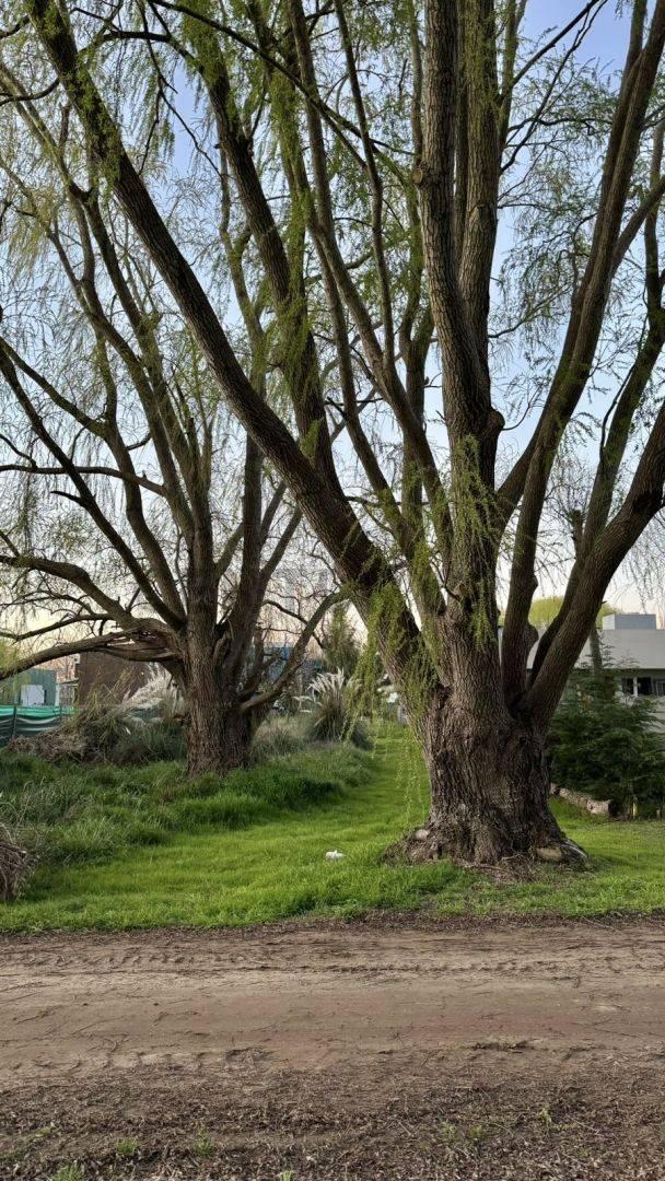 Foto de Las Margaritas entre Los Malvones y Las Madreselvas, Terreno en Venta, imagen 5
