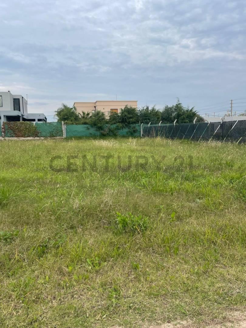 Foto de 139 y 510 Venta lote Barrio Don Guido, Hernandez, imagen 2