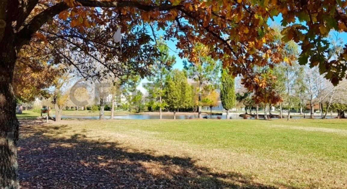 Foto de VENTA-OPORTUNIDAD-FINANCIACION, imagen 3