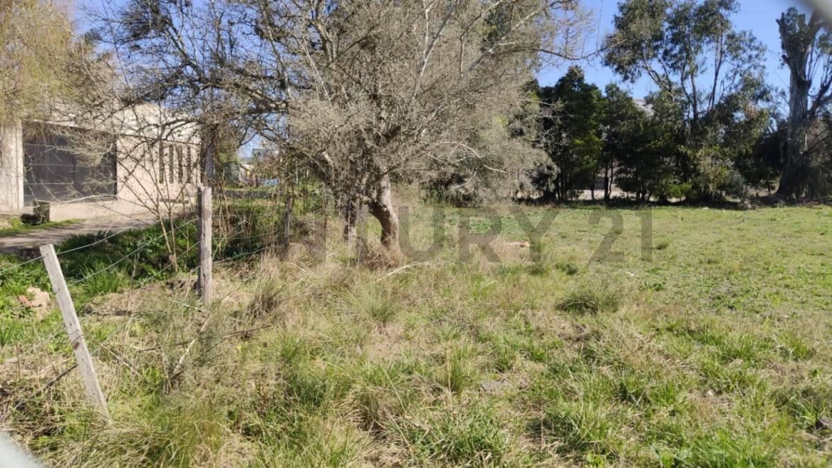 Foto de LOTES EN VENTA - BARRIO PARQUE SICARDI, imagen 2