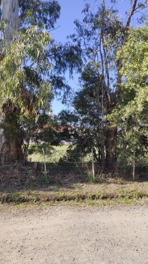 Foto de LOTES EN VENTA - BARRIO PARQUE SICARDI, imagen 4