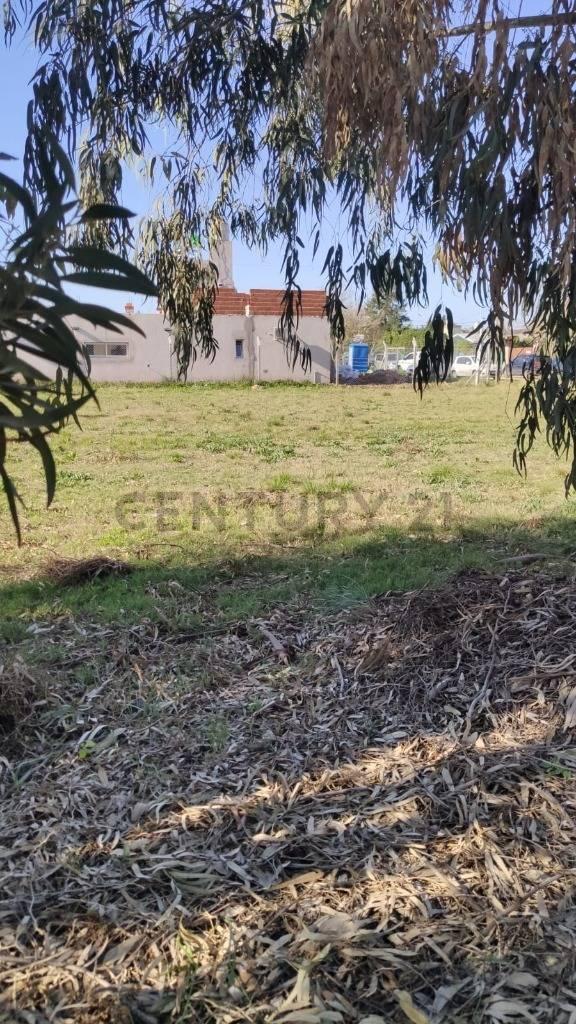 Foto de LOTES EN VENTA - BARRIO PARQUE SICARDI, imagen 3