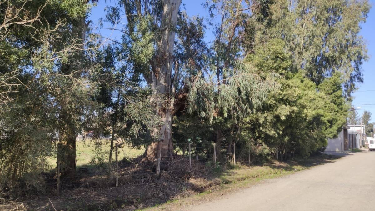 Foto de LOTES EN VENTA - BARRIO PARQUE SICARDI, imagen 1