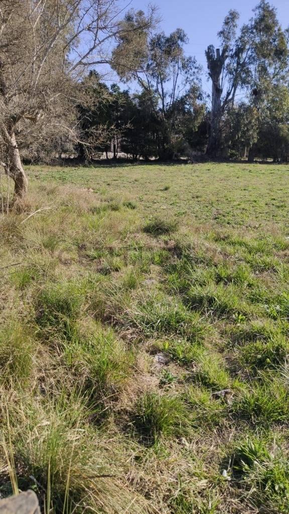 Foto de LOTES EN VENTA - BARRIO PARQUE SICARDI, imagen 5